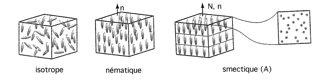 Différentes phases prises par un cristal liquide