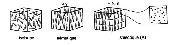 Différentes phases prises par un cristal liquide