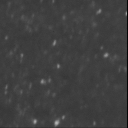 File:Brownianmotion beads in water spim video.gif