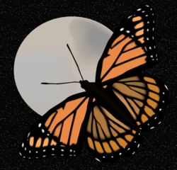 Butterfly and moon.png